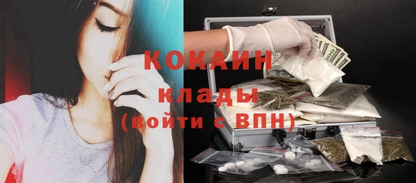 spice Богданович