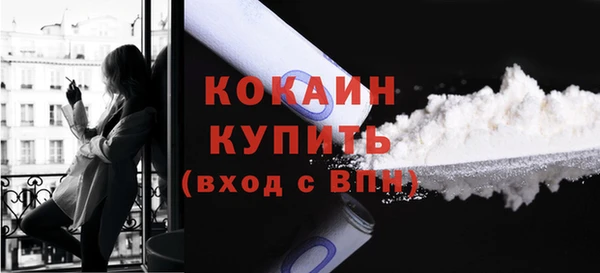 spice Богданович