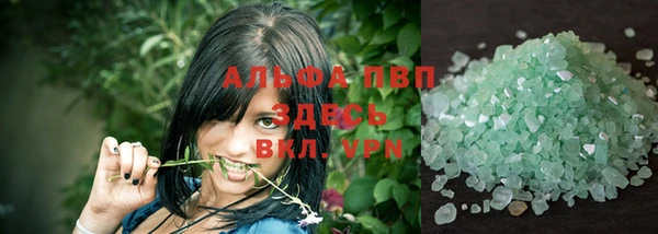 spice Богданович