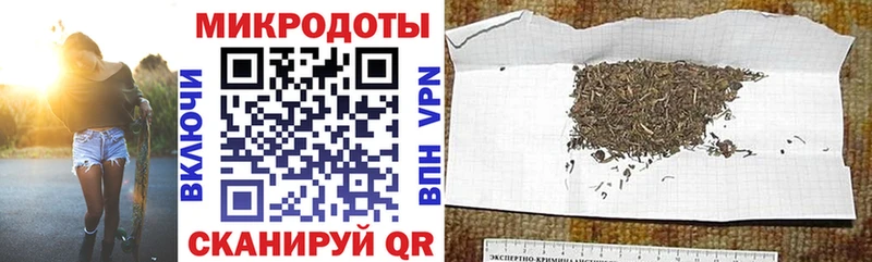 Галлюциногенные грибы Psilocybine cubensis  Малая Вишера 